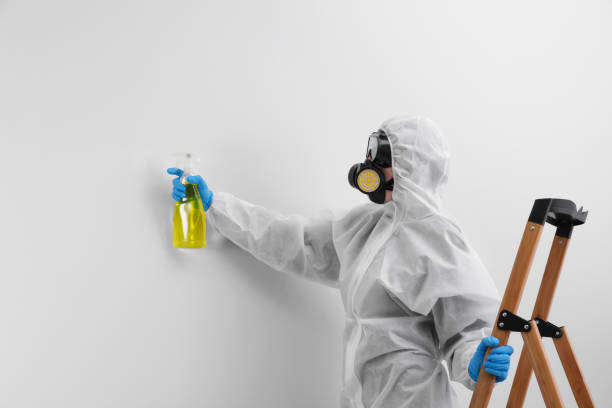 Best Mold Odor Removal Services  in Claryville, KY